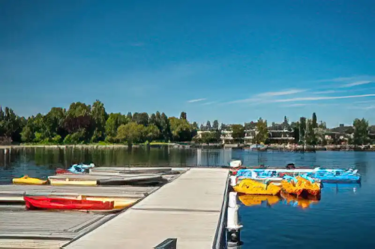 mckenzie-lake-neighbourhood-guide-team-hripko-real-estate-for-sale-calgary-alberta